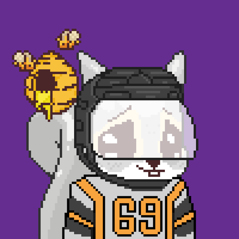 Pixel Squirrels #9952